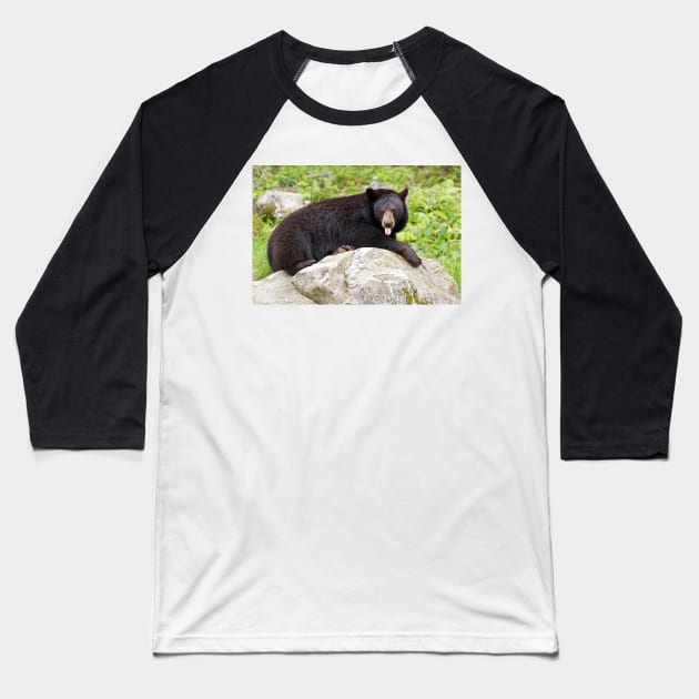 Blowing Raspberries - Black Bear Baseball T-Shirt by Jim Cumming